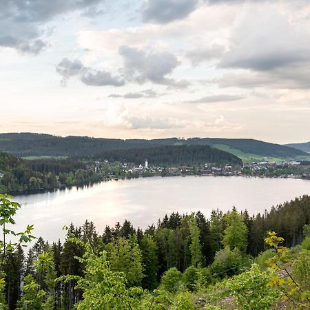 Ferienwohnung Sonnenglueck Mit Grosszuegigem Suedbalkon Lenzkirch Luaran gambar