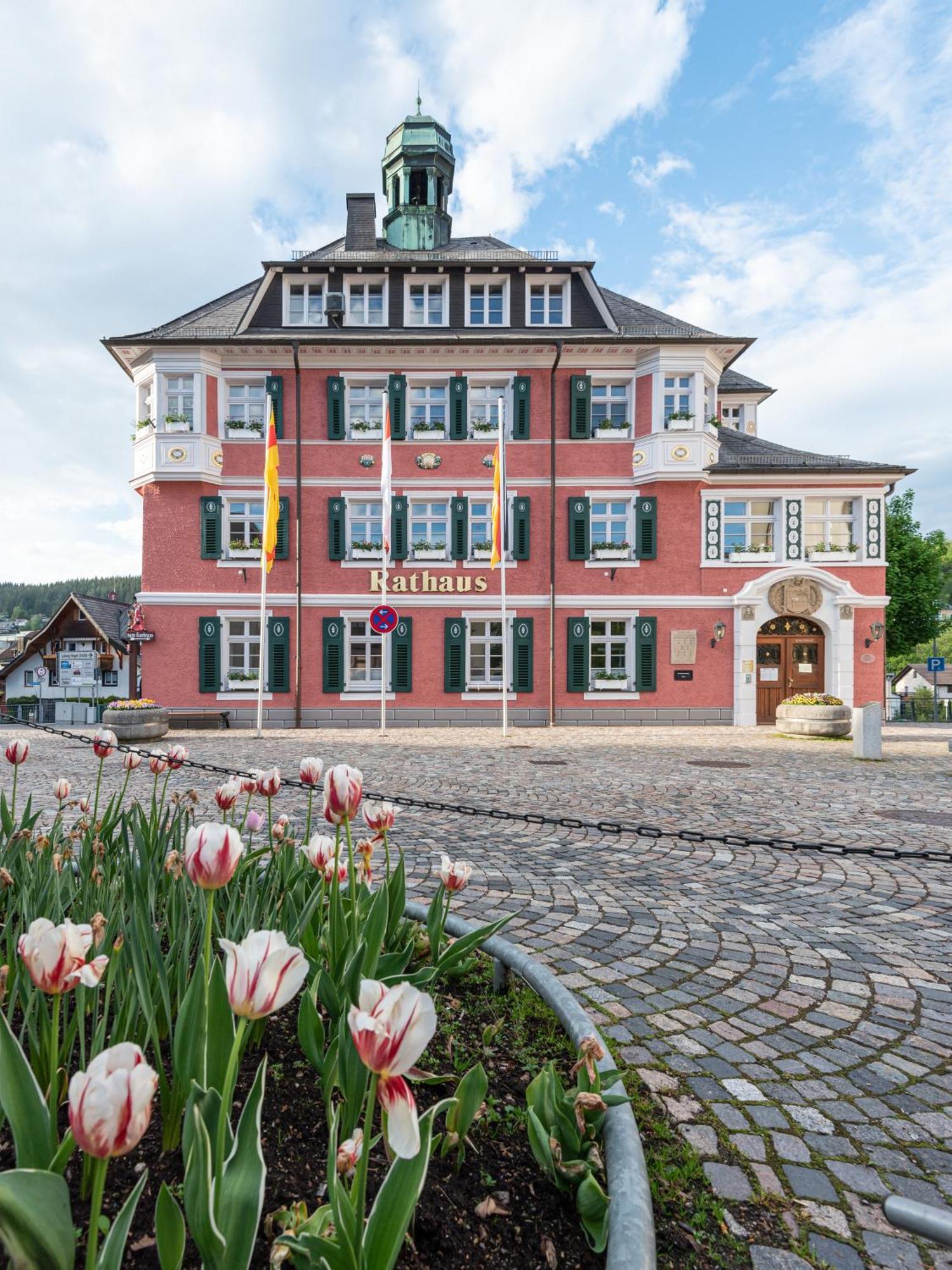 Ferienwohnung Sonnenglueck Mit Grosszuegigem Suedbalkon Lenzkirch Luaran gambar